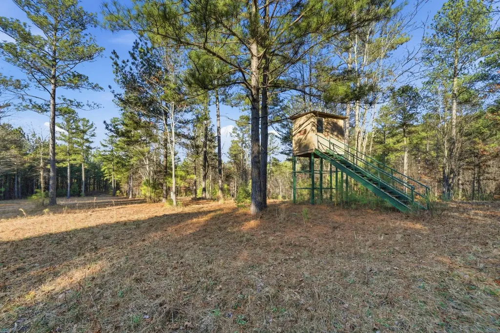 0 County Road 131 Bryant AL 35958