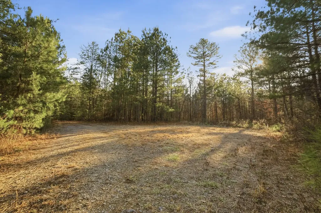 0 County Road 131 Bryant AL 35958