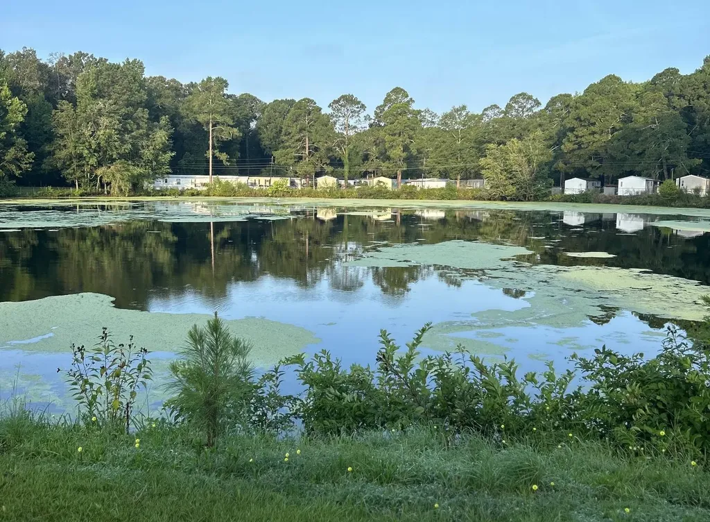 1831 Blue Ridge Drive Montgomery AL 36110