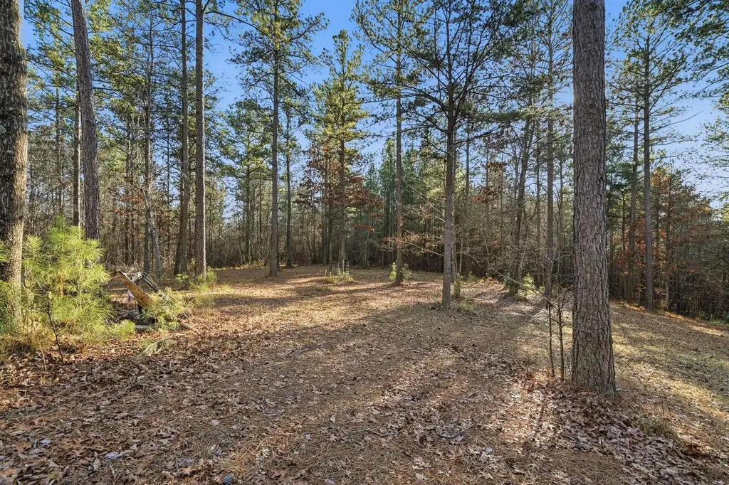 0 County Road 131 Bryant AL 35958