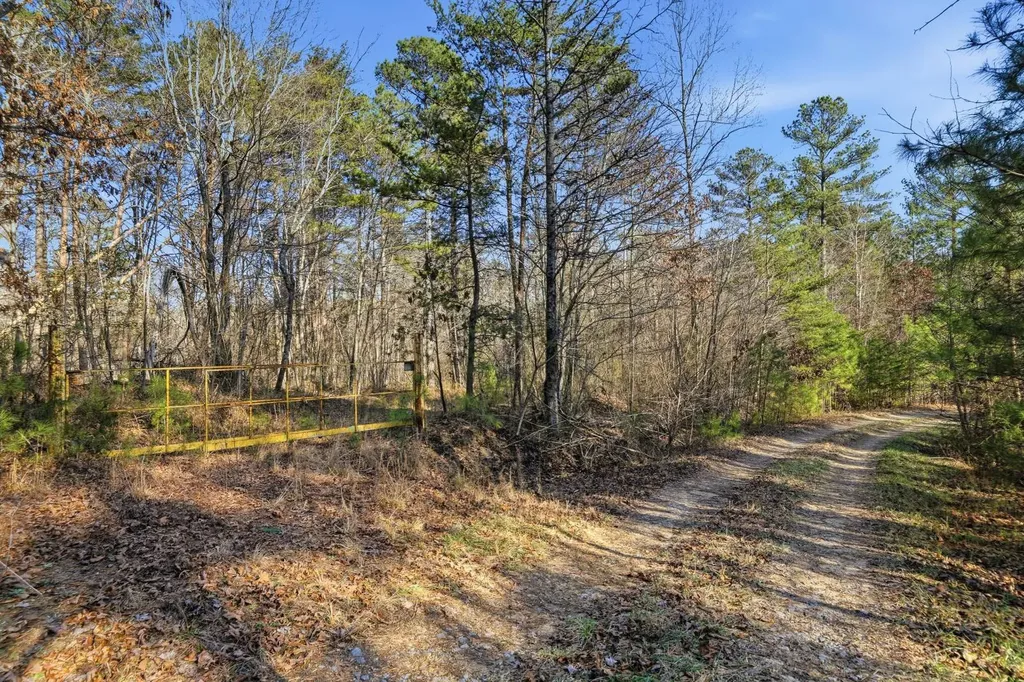 0 County Road 131 Bryant AL 35958