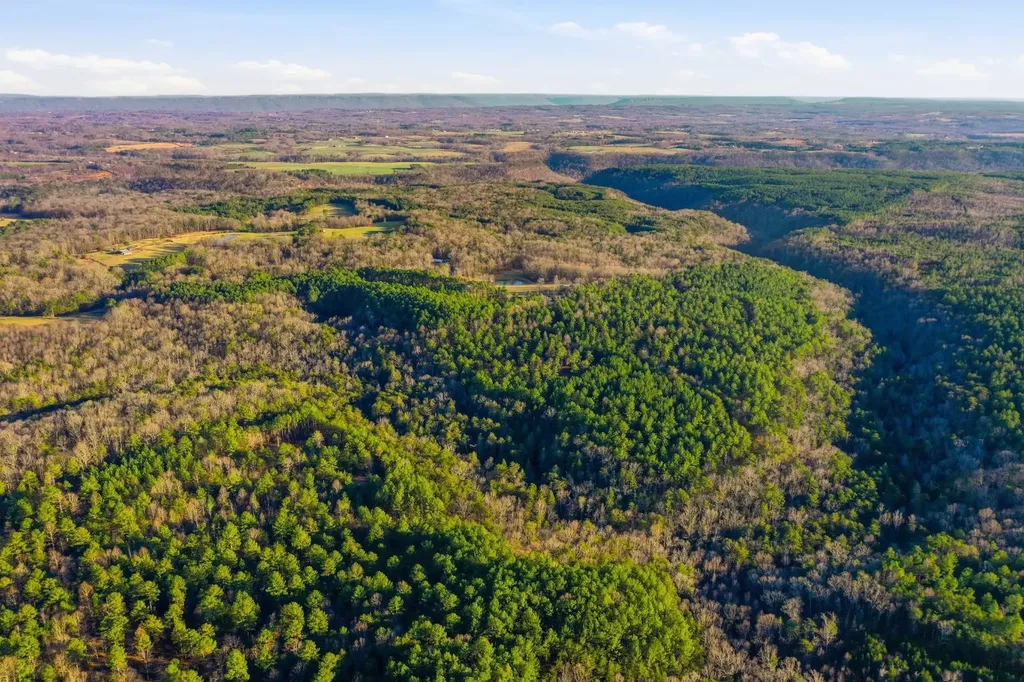 0 County Road 131 Bryant AL 35958