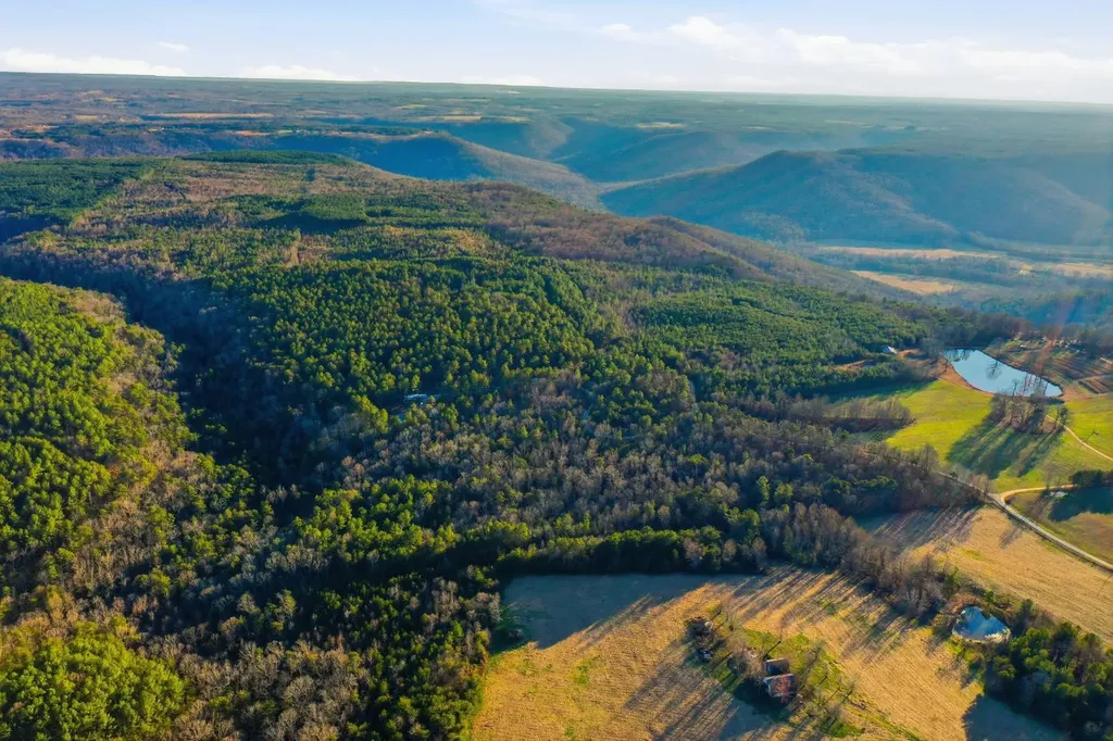 0 County Road 131 Bryant AL 35958