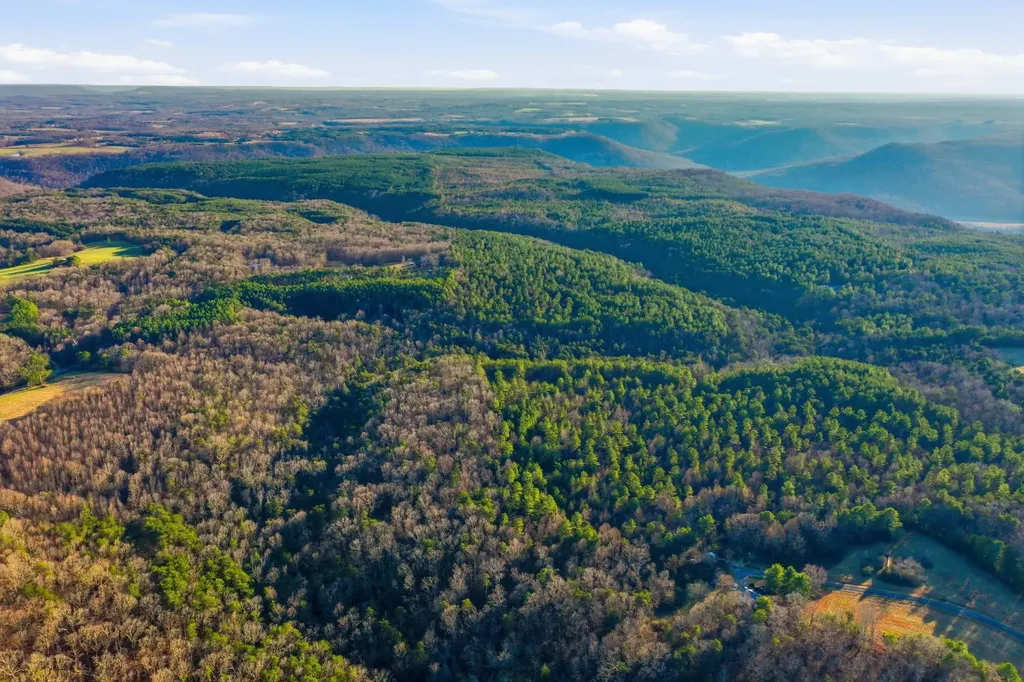 0 County Road 131 Bryant AL 35958