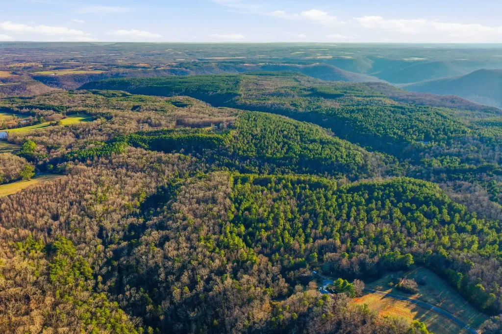 0 County Road 131 Bryant AL 35958