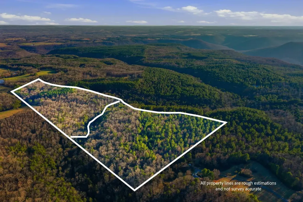 0 County Road 131 Bryant AL 35958