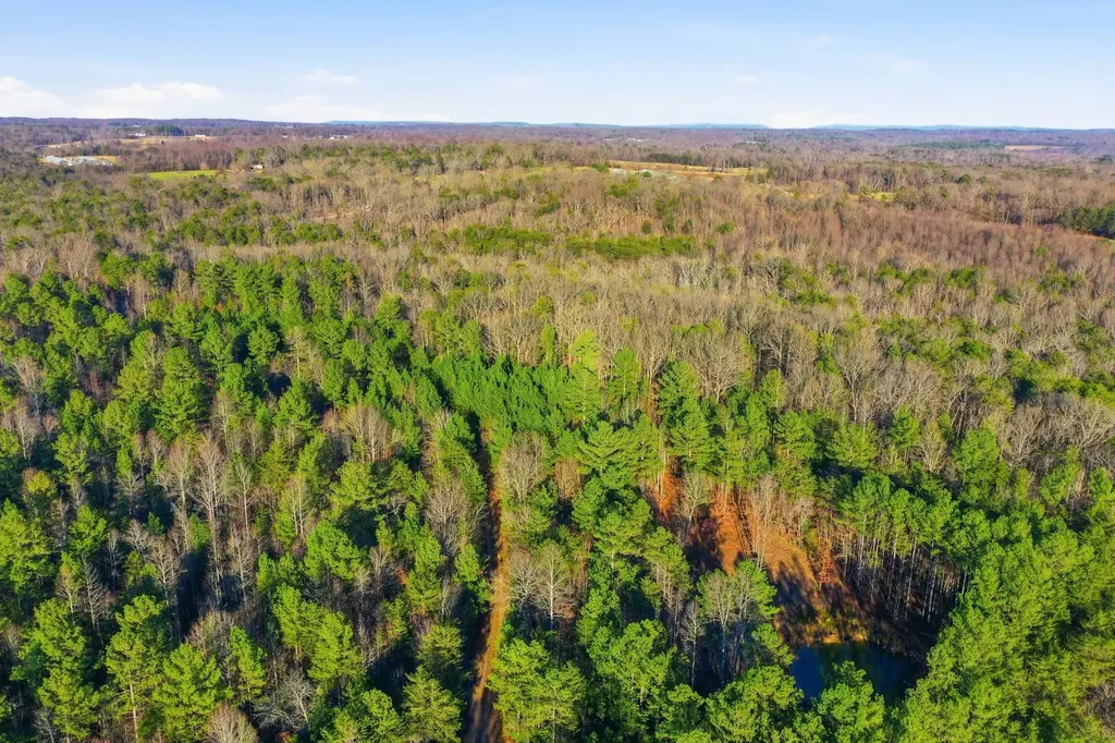 0 County Road 131 Bryant AL 35958