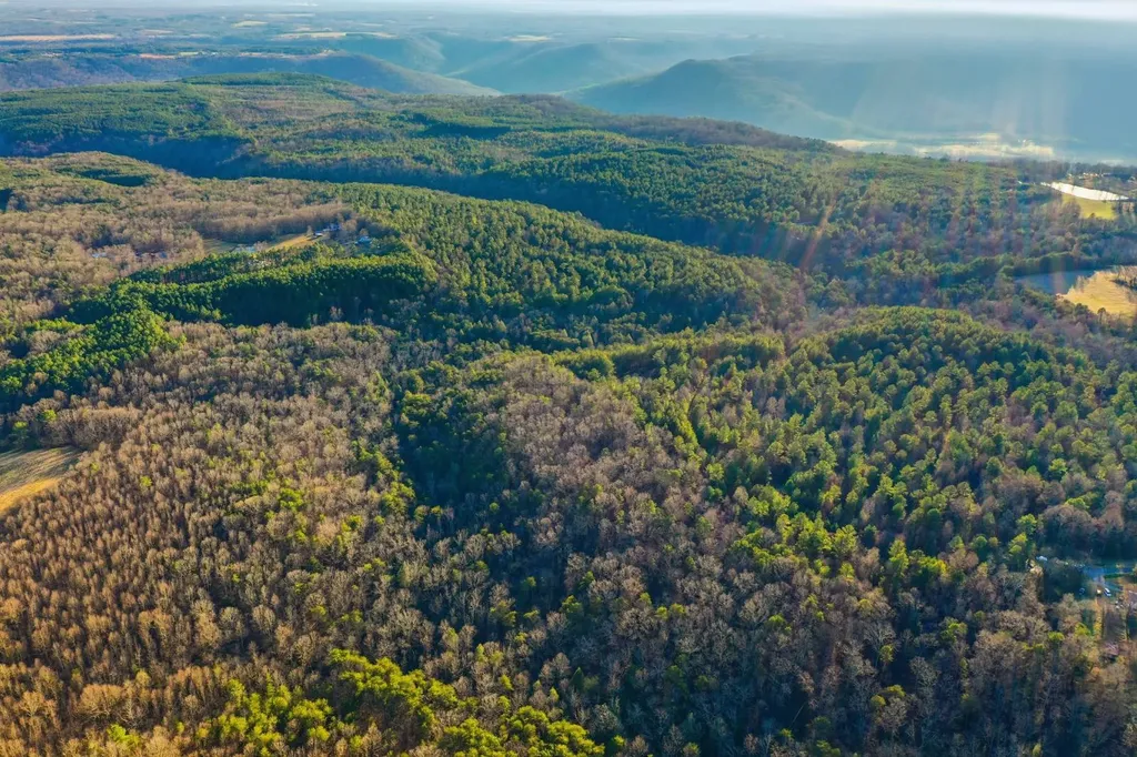 0 County Road 131 Bryant AL 35958