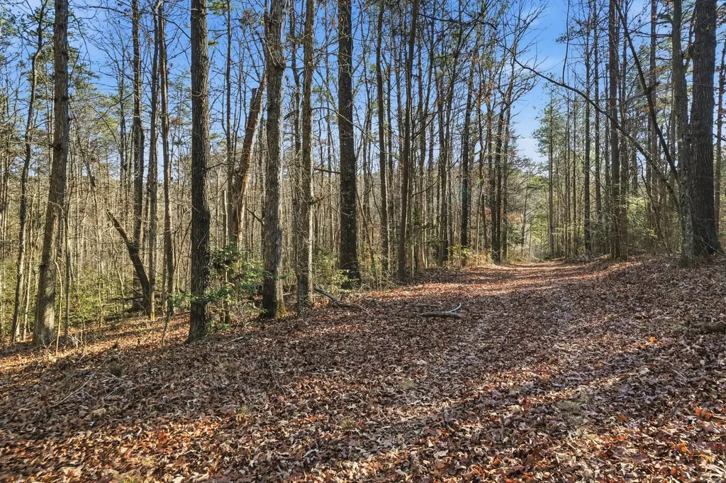 0 County Road 131 Bryant AL 35958