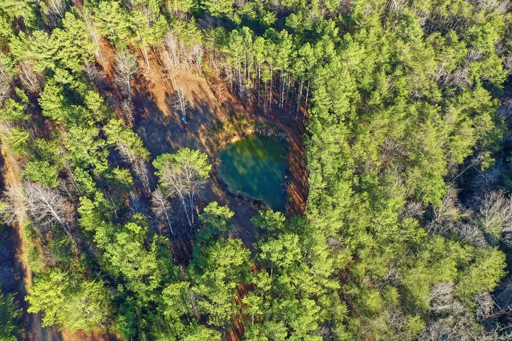 0 County Road 131 Bryant AL 35958