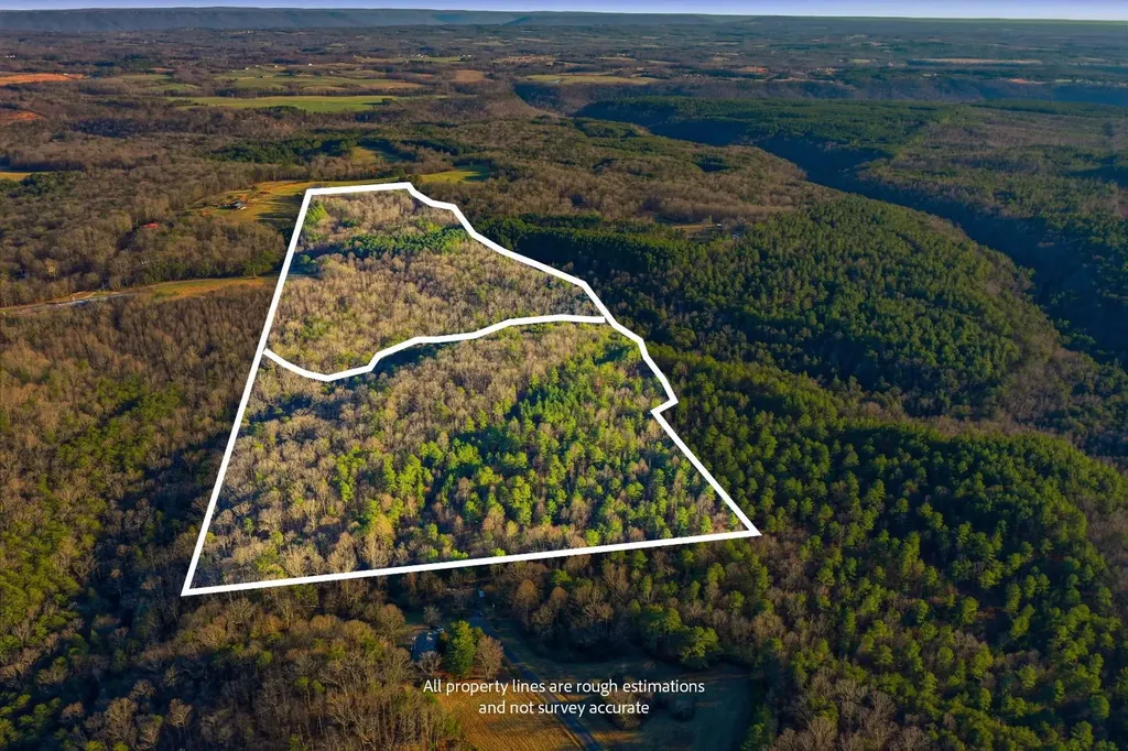 0 County Road 131 Bryant AL 35958