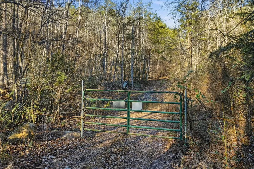 0 County Road 131 Bryant AL 35958