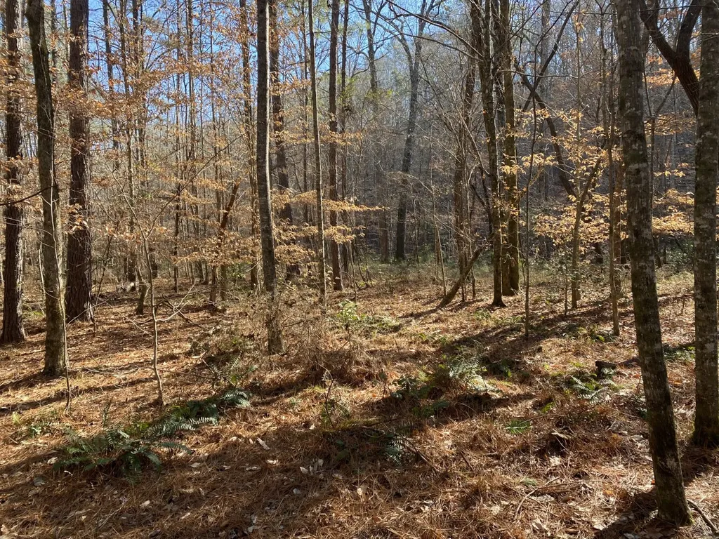 5600 Black Creek Drive Bessemer AL 35022