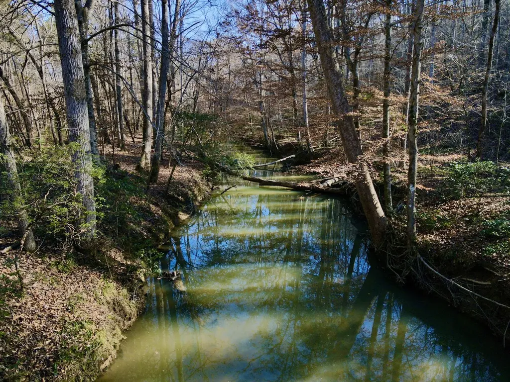 5600 Black Creek Drive Bessemer AL 35022