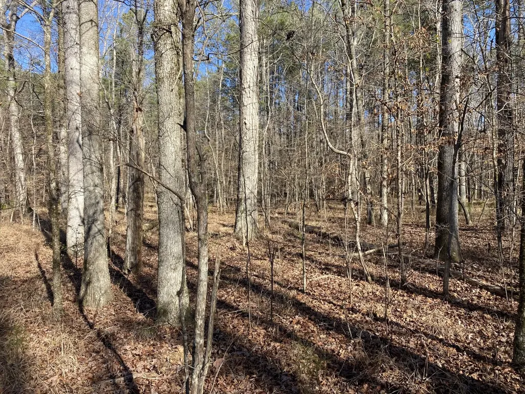 5600 Black Creek Drive Bessemer AL 35022