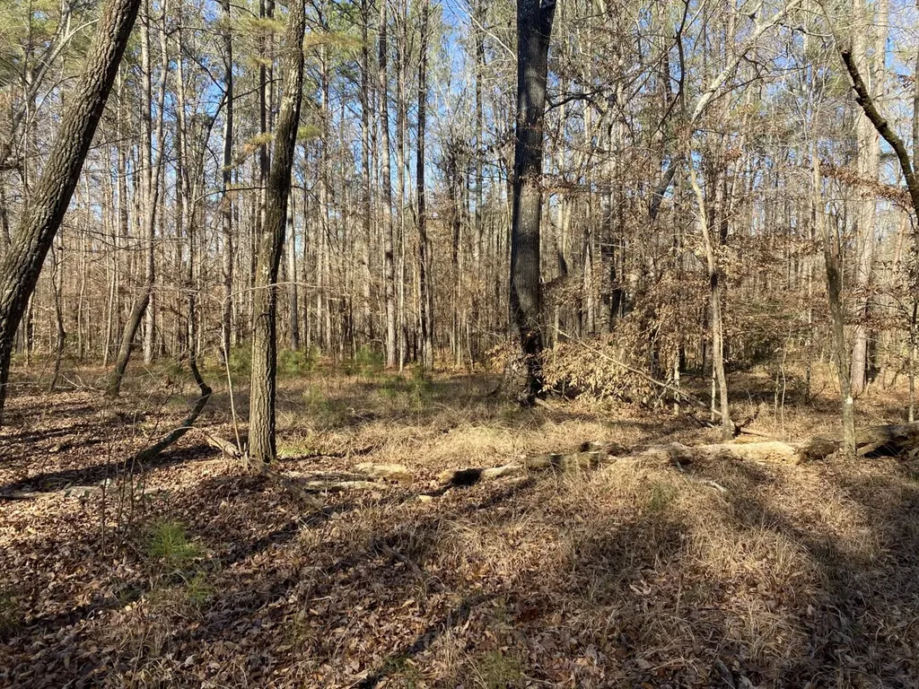 5600 Black Creek Drive Bessemer AL 35022