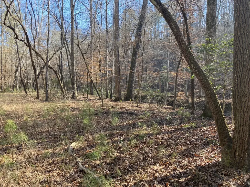 5600 Black Creek Drive Bessemer AL 35022