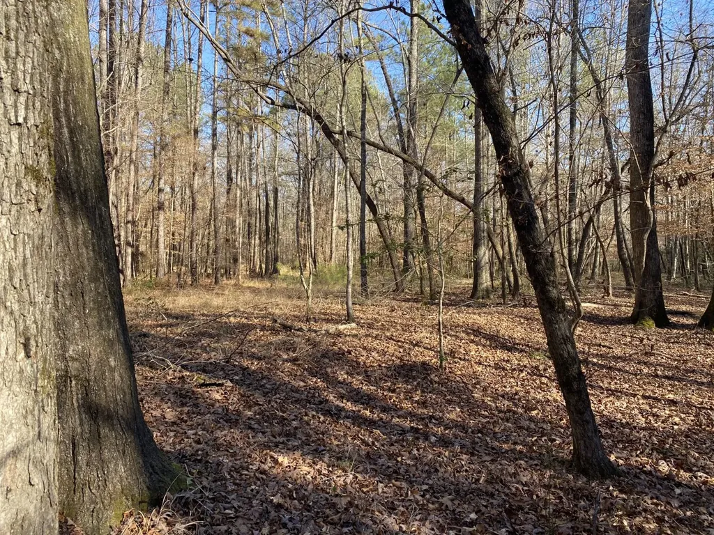 5600 Black Creek Drive Bessemer AL 35022