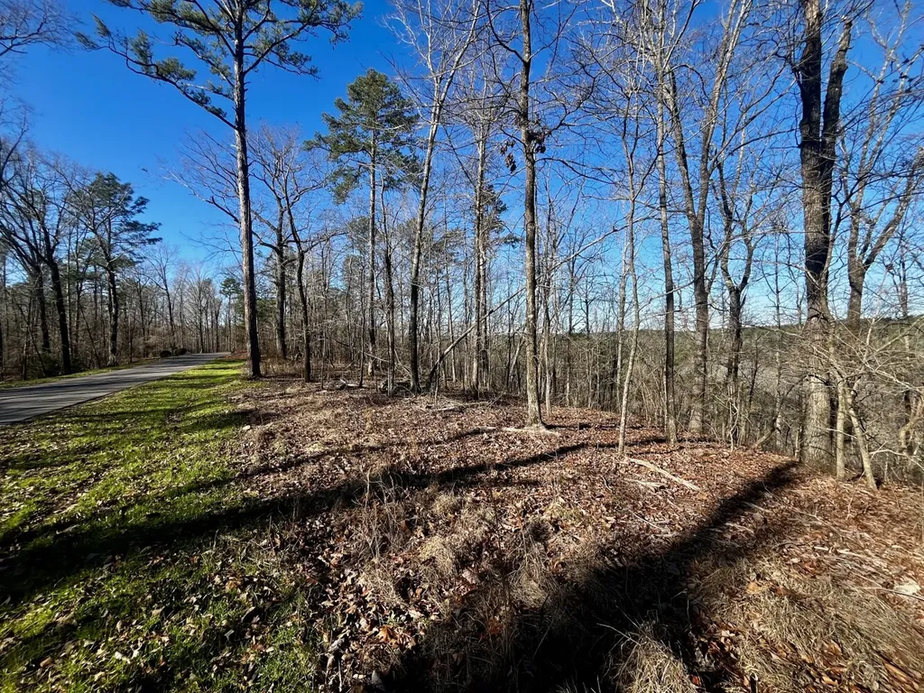 5600 Black Creek Drive Bessemer AL 35022