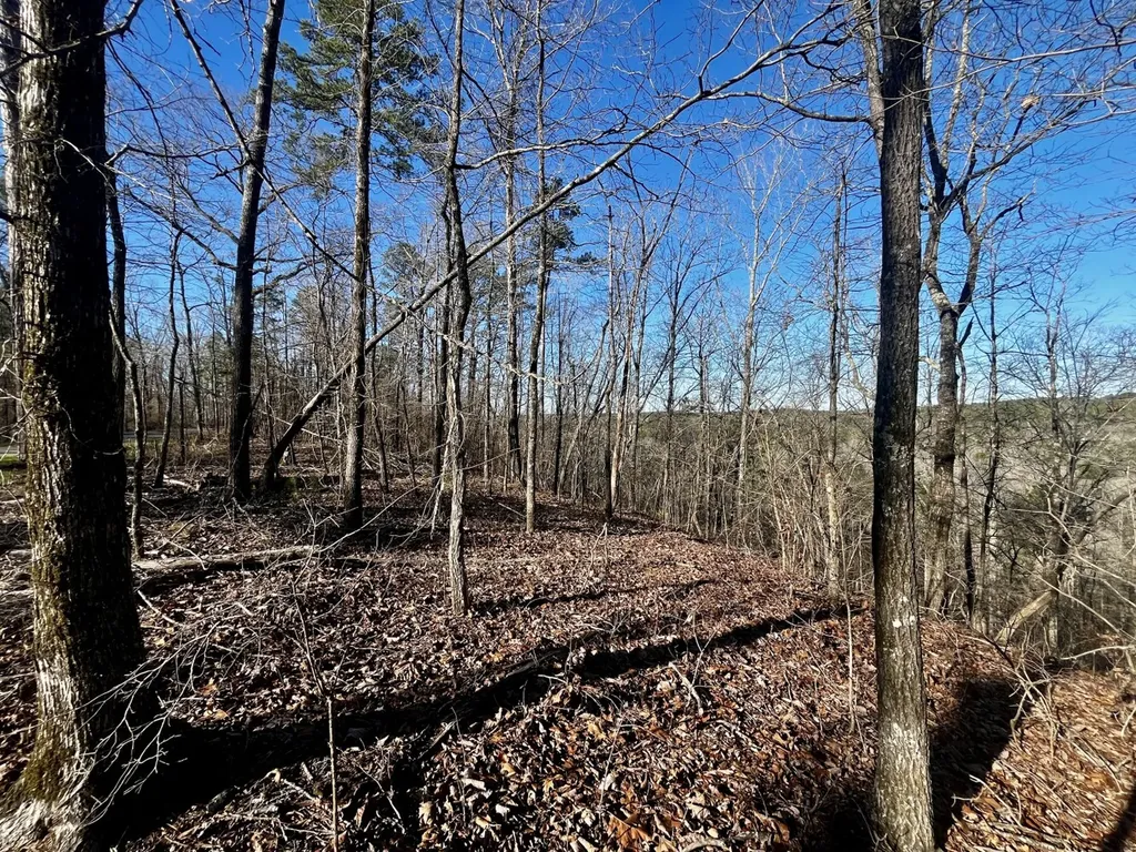 5600 Black Creek Drive Bessemer AL 35022