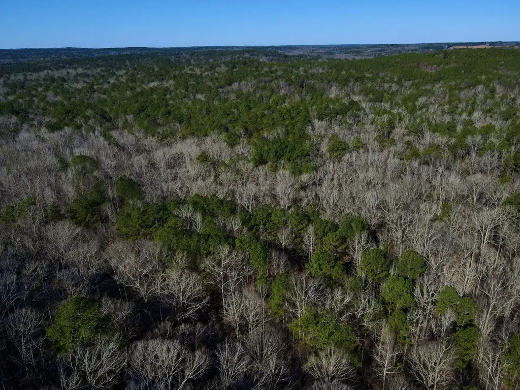 5600 Black Creek Drive Bessemer AL 35022