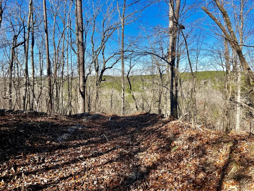 5600 Black Creek Drive Bessemer AL 35022