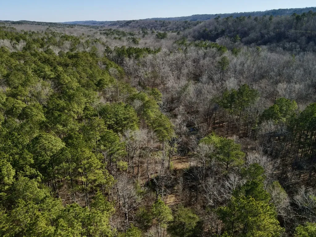 5600 Black Creek Drive Bessemer AL 35022