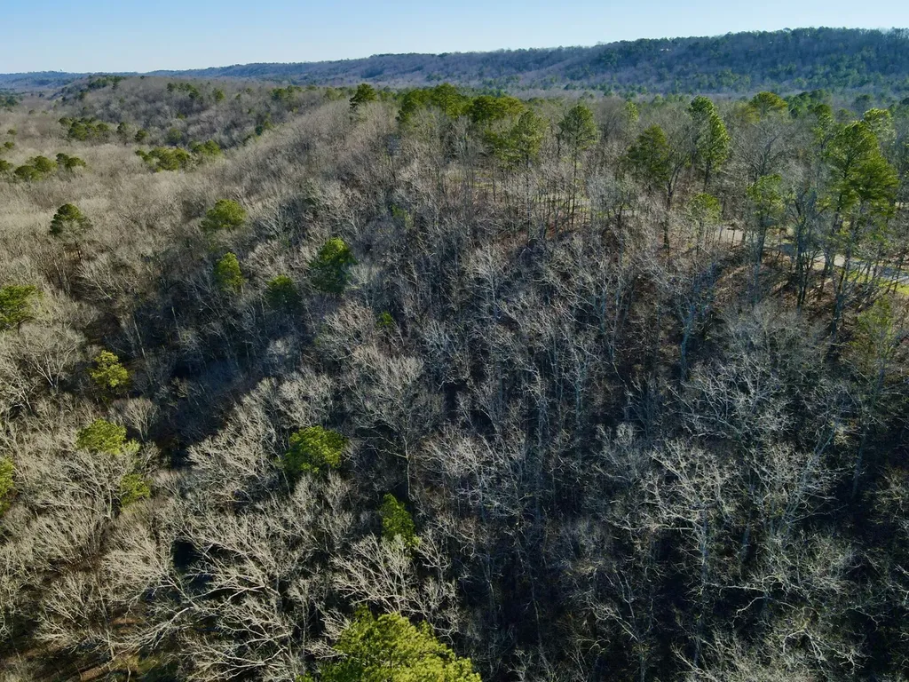 5600 Black Creek Drive Bessemer AL 35022