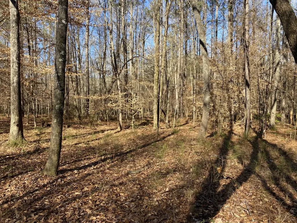 5600 Black Creek Drive Bessemer AL 35022