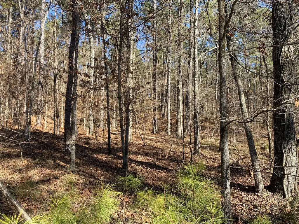 5600 Black Creek Drive Bessemer AL 35022