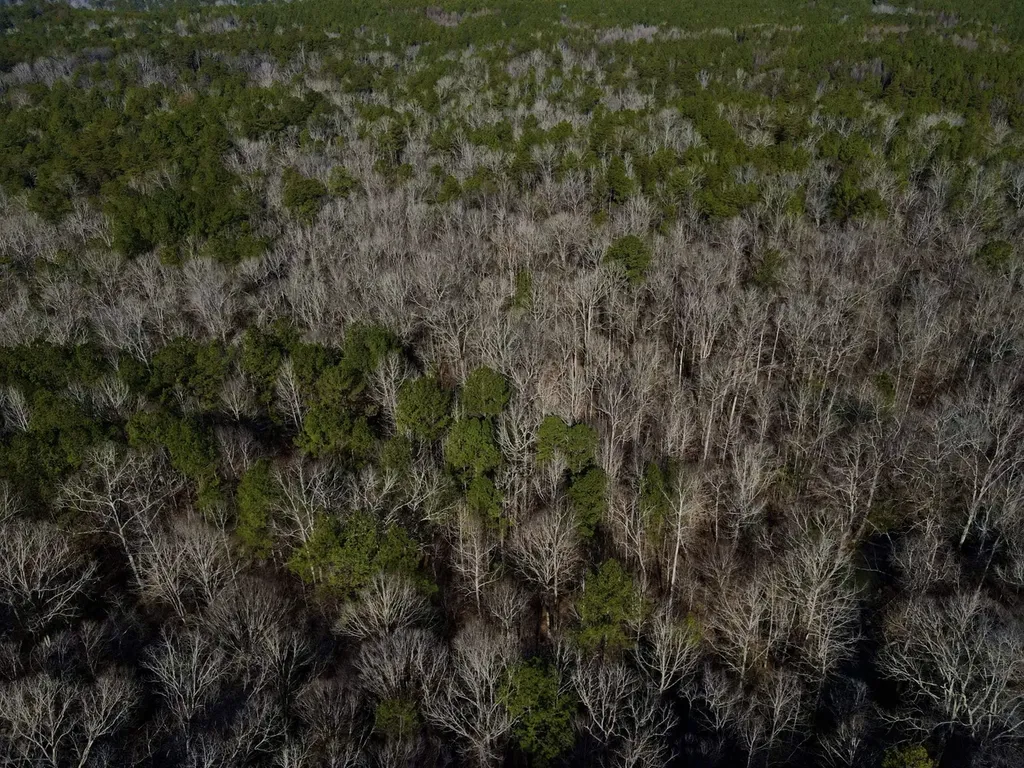 5600 Black Creek Drive Bessemer AL 35022