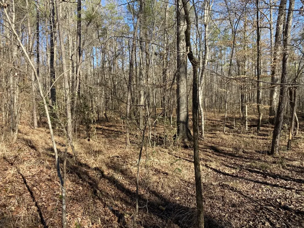 5600 Black Creek Drive Bessemer AL 35022