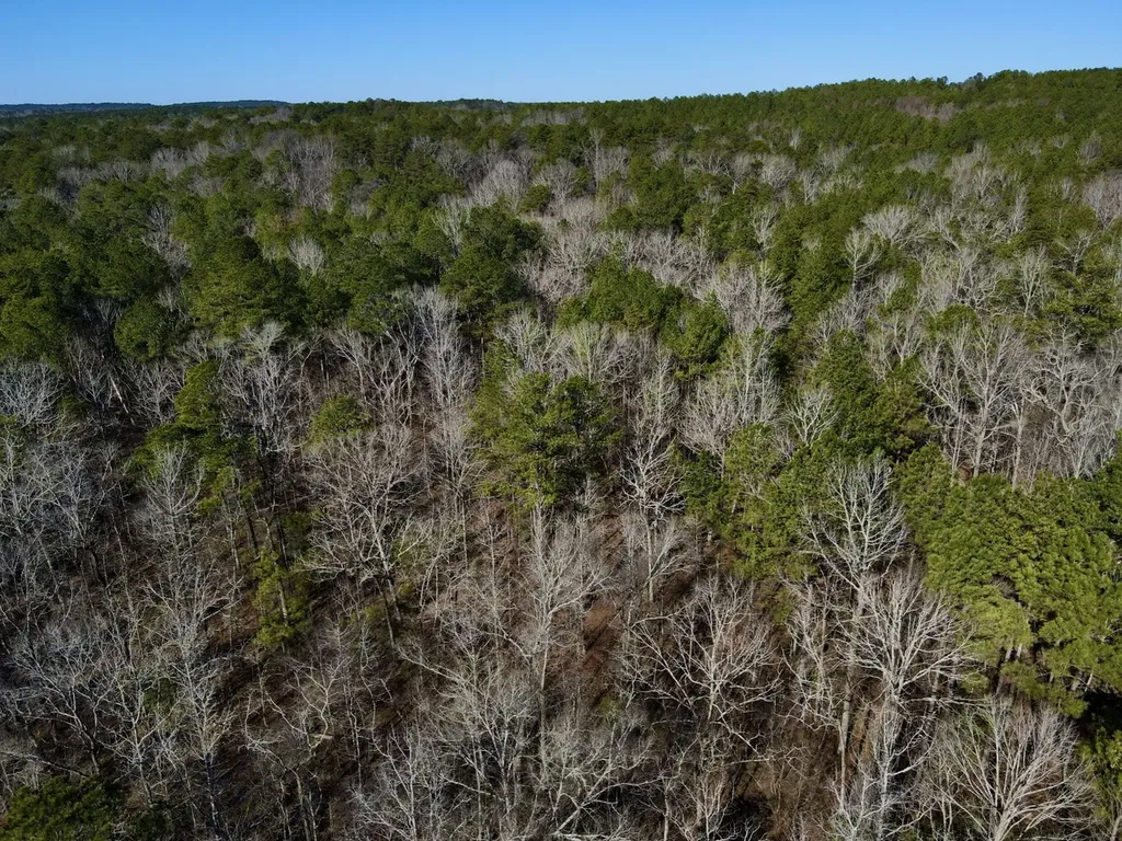 5600 Black Creek Drive Bessemer AL 35022