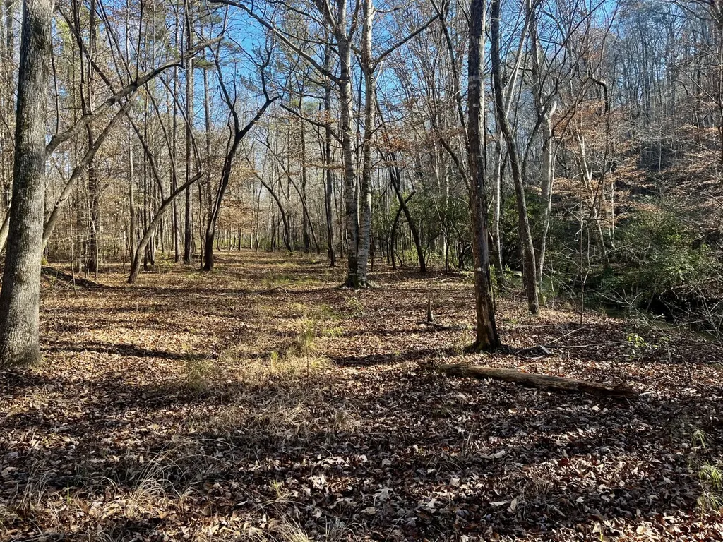 5600 Black Creek Drive Bessemer AL 35022