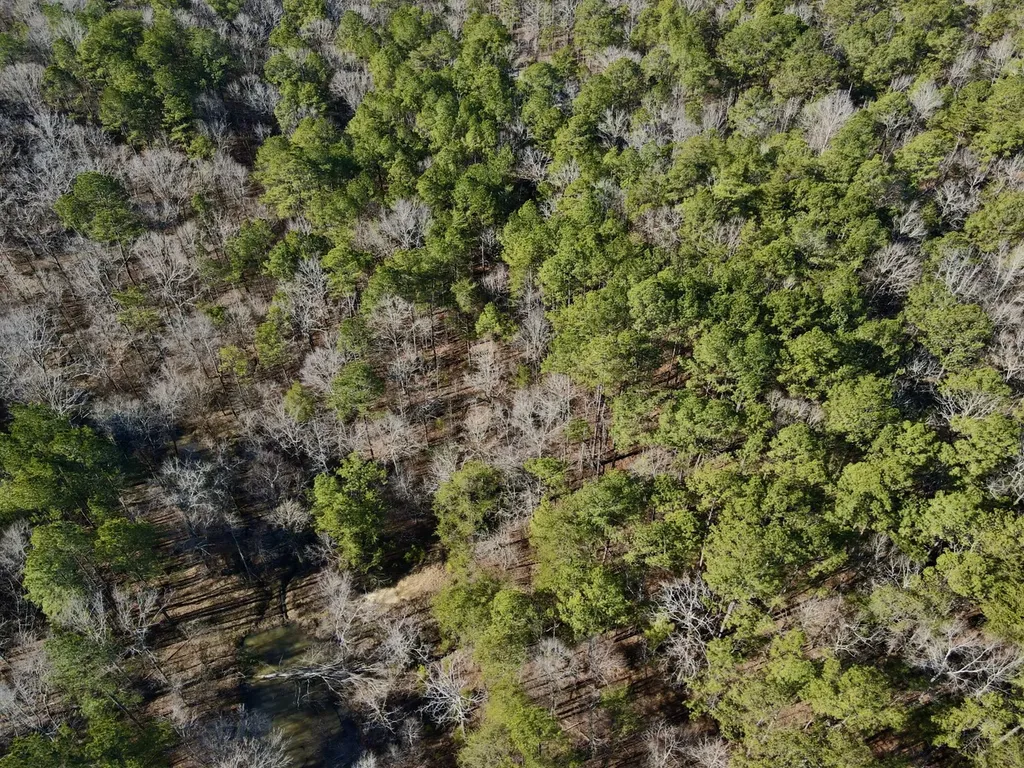 5600 Black Creek Drive Bessemer AL 35022