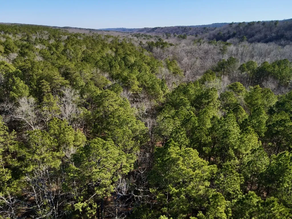 5600 Black Creek Drive Bessemer AL 35022