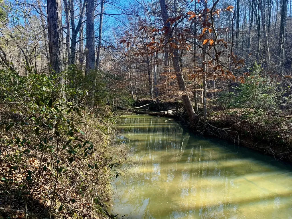 5600 Black Creek Drive Bessemer AL 35022