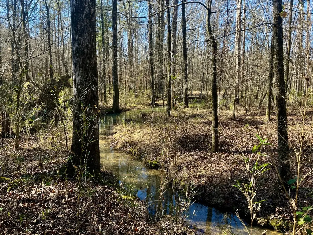 5600 Black Creek Drive Bessemer AL 35022