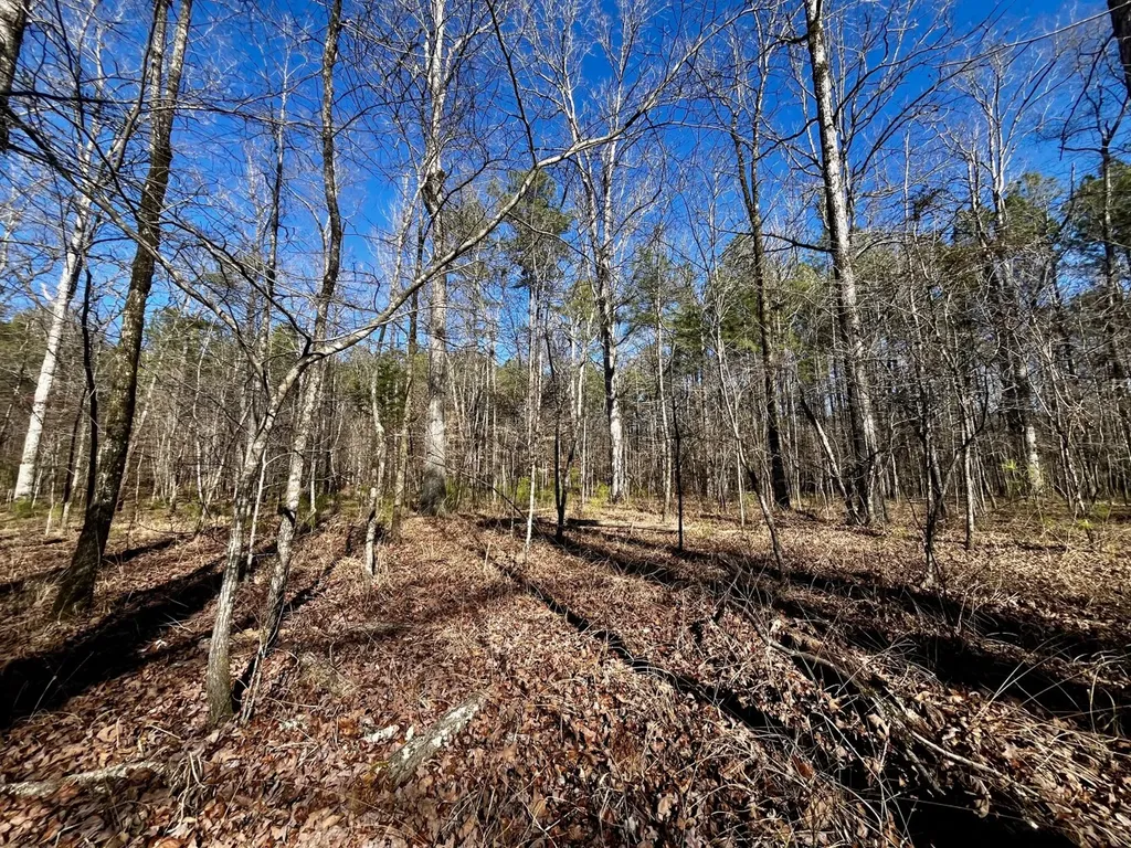 5600 Black Creek Drive Bessemer AL 35022