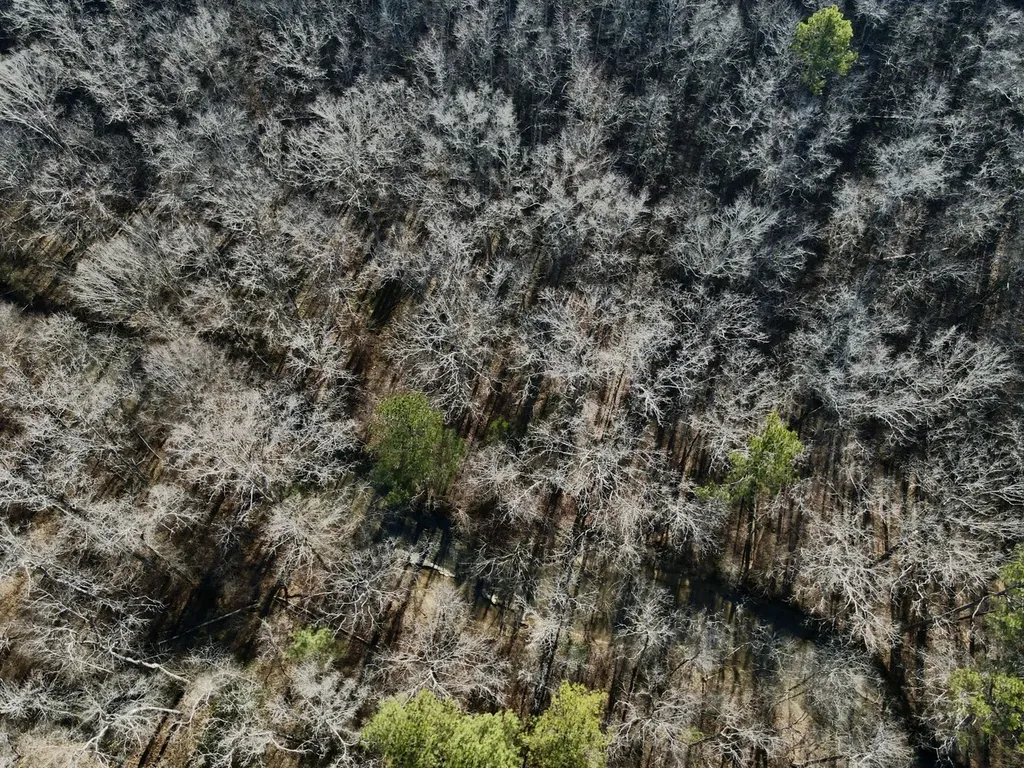 5600 Black Creek Drive Bessemer AL 35022