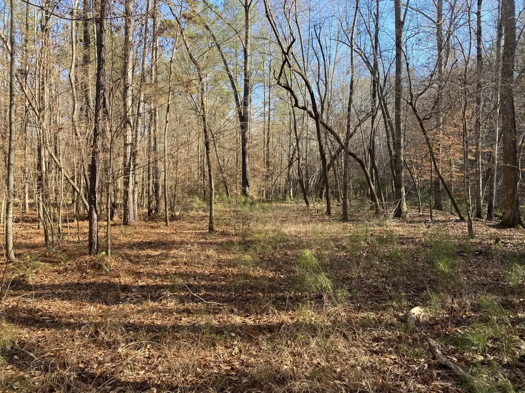 5600 Black Creek Drive Bessemer AL 35022