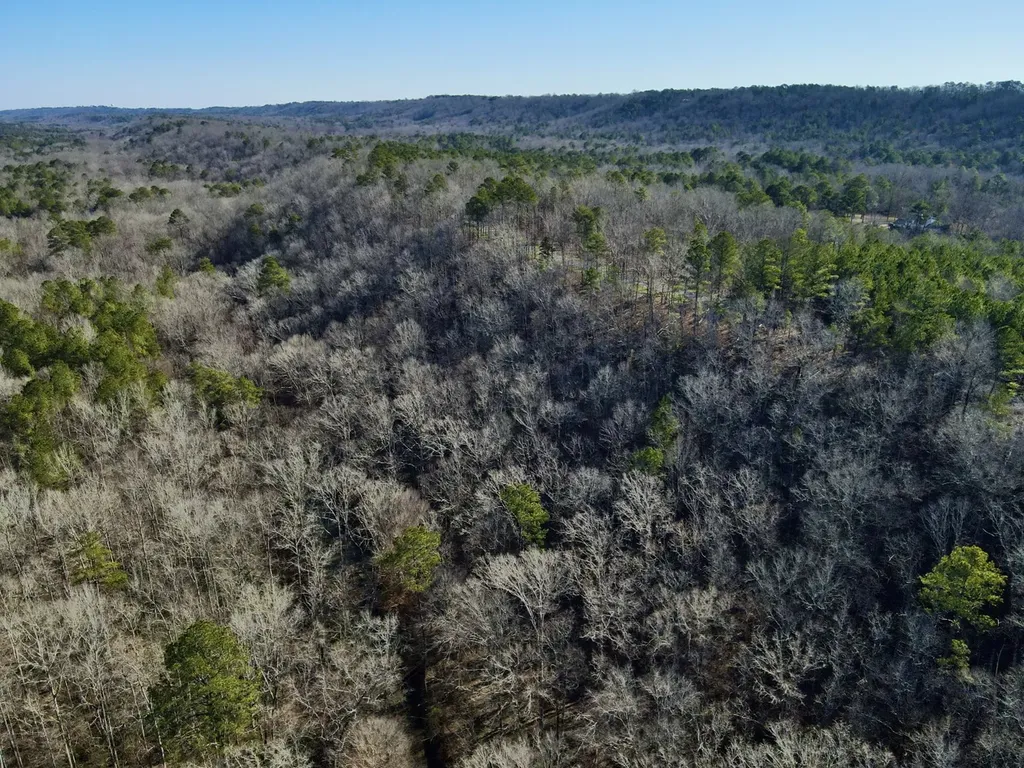 5600 Black Creek Drive Bessemer AL 35022