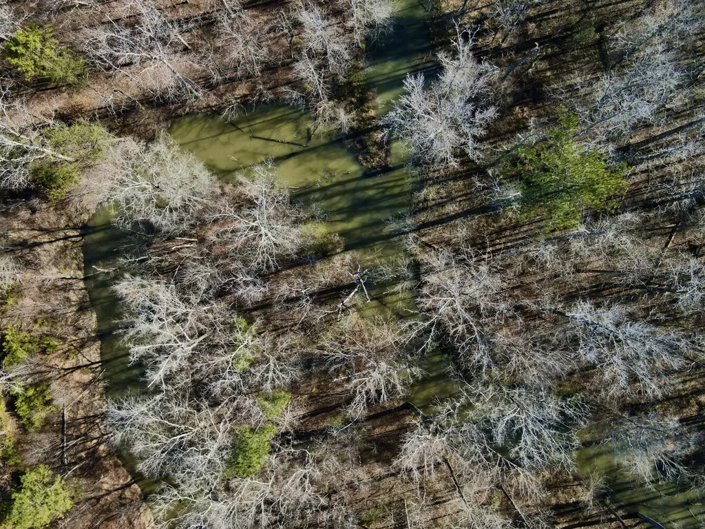 5600 Black Creek Drive Bessemer AL 35022