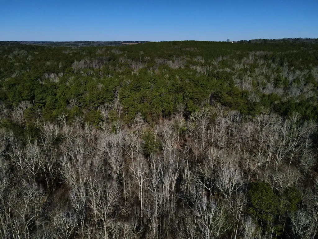 5600 Black Creek Drive Bessemer AL 35022