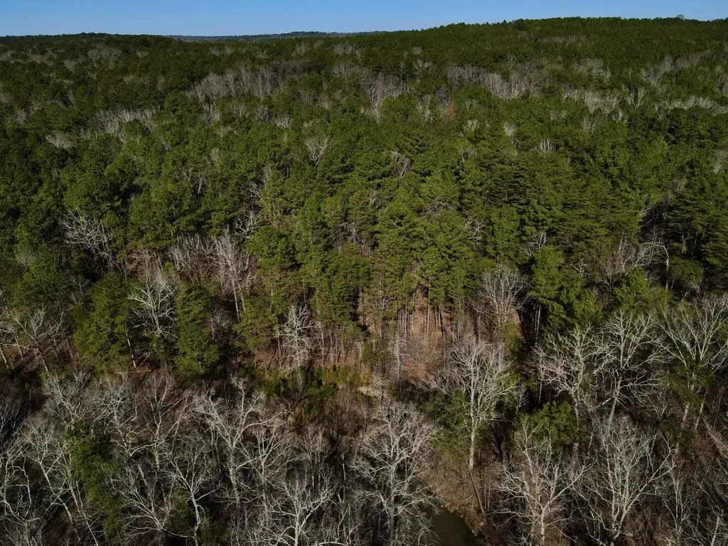 5600 Black Creek Drive Bessemer AL 35022