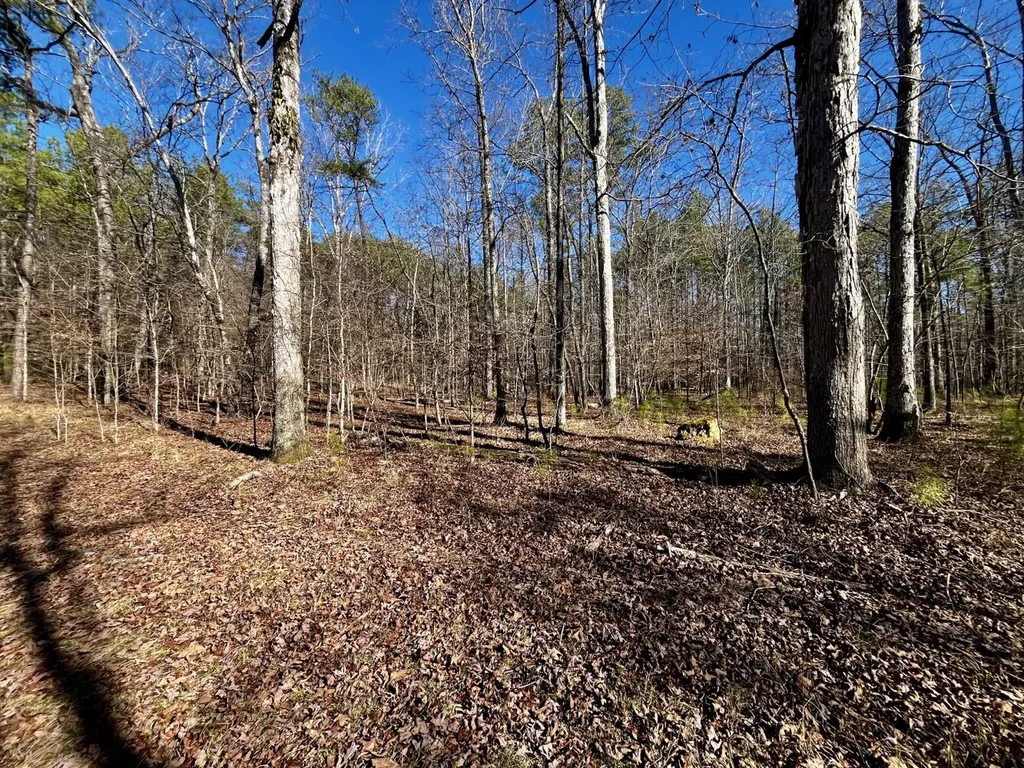 5600 Black Creek Drive Bessemer AL 35022