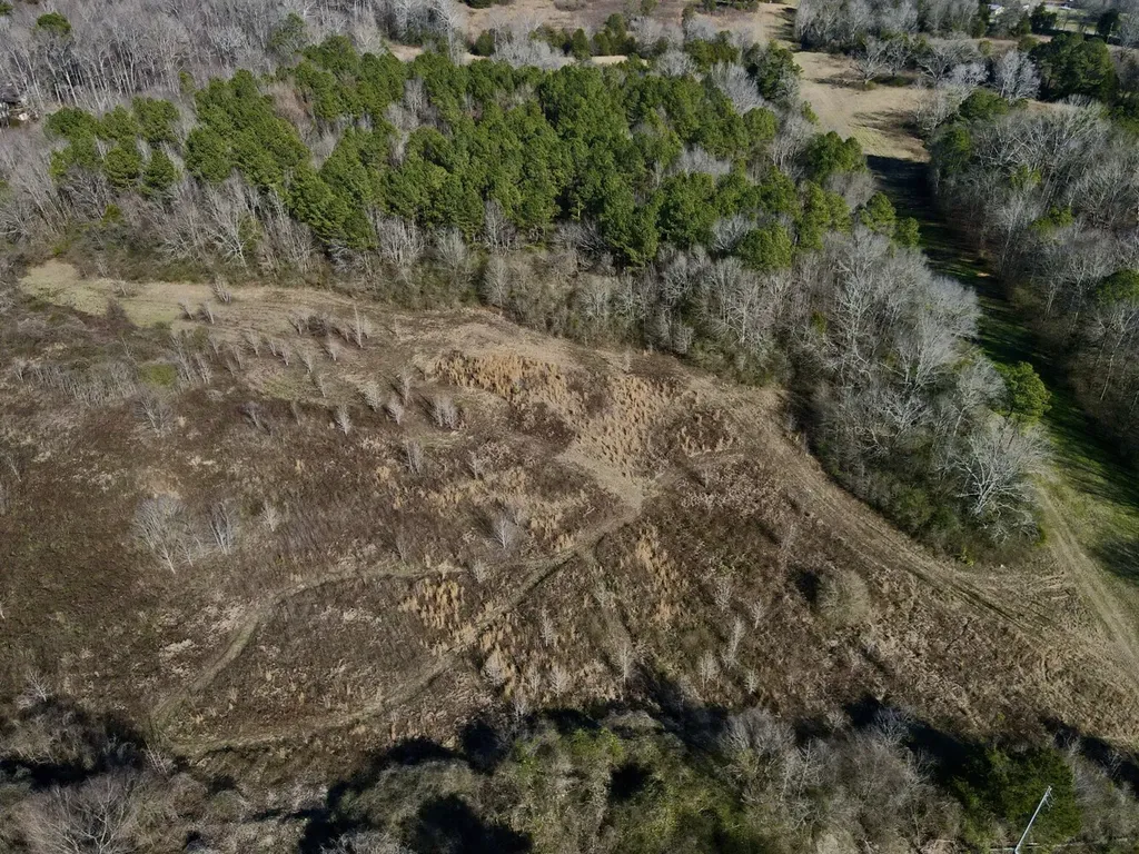 001 Thomas Drive Vincent AL 35178