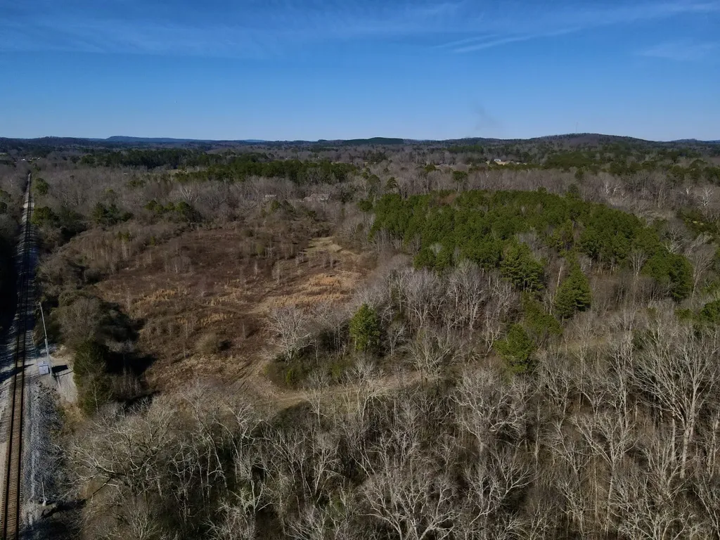 001 Thomas Drive Vincent AL 35178
