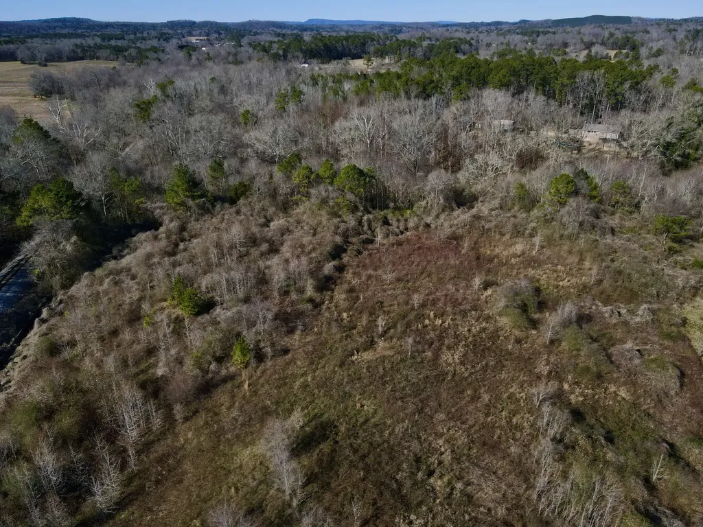 001 Thomas Drive Vincent AL 35178