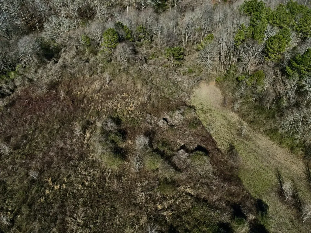 001 Thomas Drive Vincent AL 35178